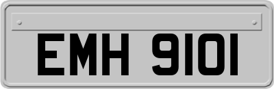 EMH9101