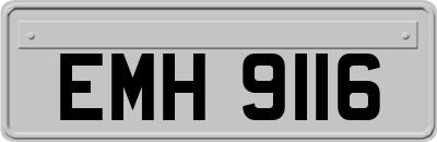 EMH9116