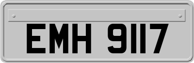 EMH9117