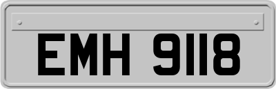 EMH9118