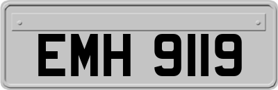 EMH9119