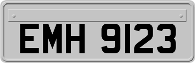 EMH9123