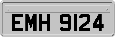 EMH9124
