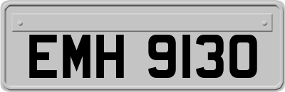 EMH9130