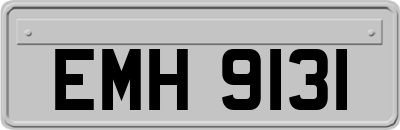 EMH9131