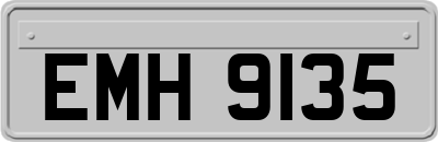 EMH9135