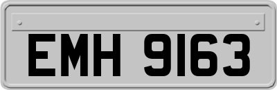 EMH9163