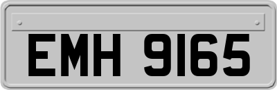 EMH9165