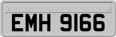 EMH9166