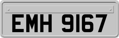 EMH9167