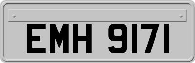 EMH9171