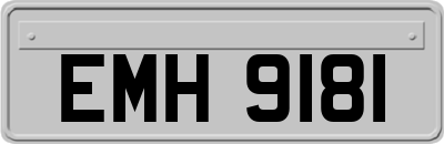 EMH9181
