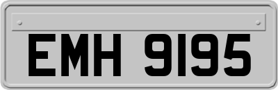 EMH9195