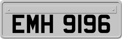 EMH9196