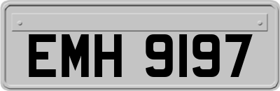 EMH9197