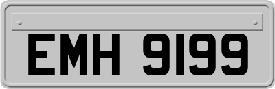 EMH9199