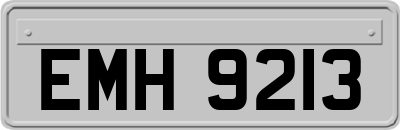 EMH9213