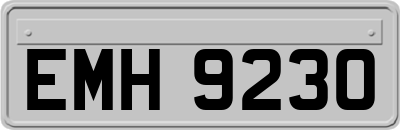 EMH9230