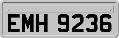 EMH9236