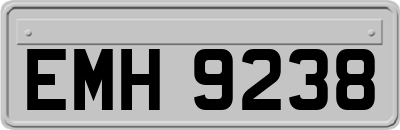 EMH9238