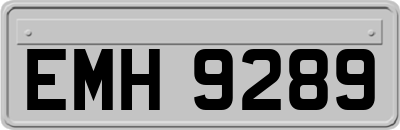 EMH9289
