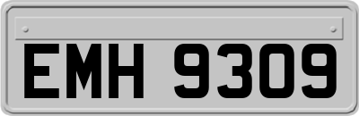 EMH9309