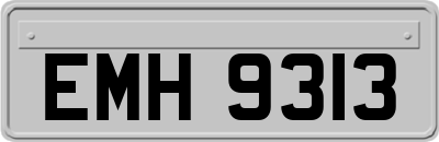 EMH9313