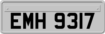 EMH9317