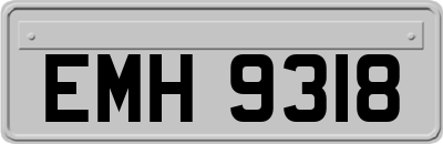 EMH9318