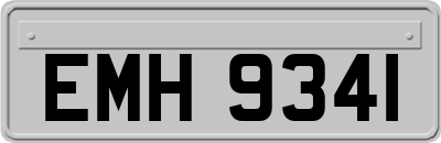 EMH9341
