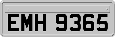 EMH9365