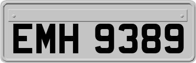 EMH9389