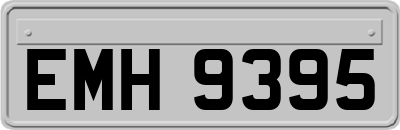 EMH9395