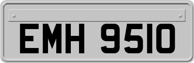 EMH9510