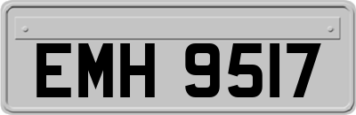 EMH9517