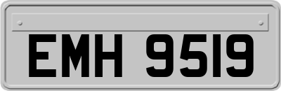 EMH9519