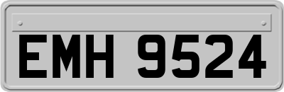 EMH9524