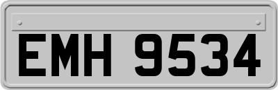 EMH9534
