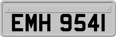 EMH9541