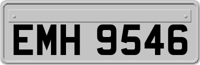 EMH9546