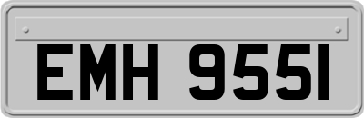 EMH9551