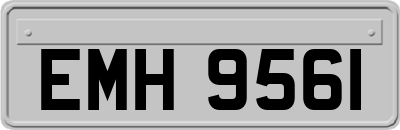 EMH9561