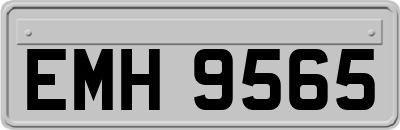 EMH9565