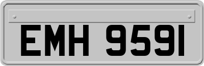 EMH9591