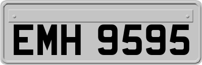 EMH9595