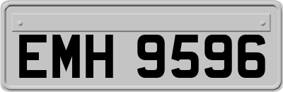 EMH9596