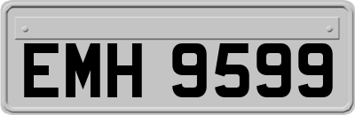 EMH9599