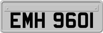 EMH9601