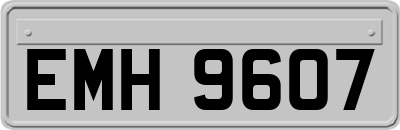 EMH9607