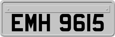 EMH9615